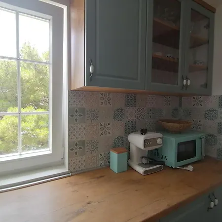 Mares - 20 M From The