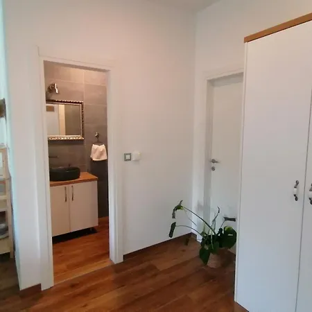 Mares - 20 M From The 布雷拉