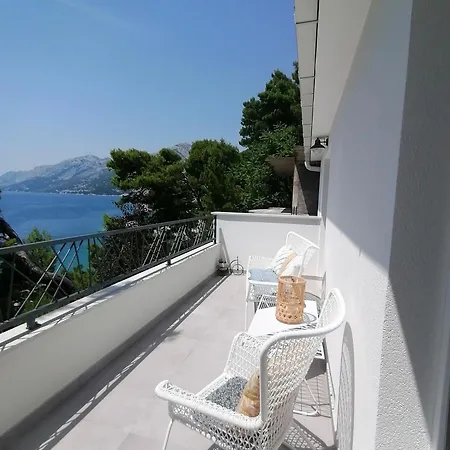 Mares - 20 M From The *