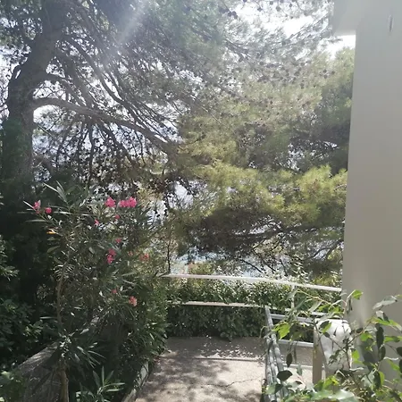 Mares - 20 M From The *