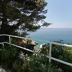 Mares - 20 M From The