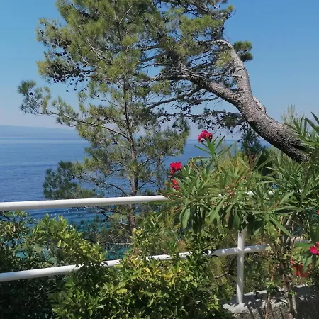 Mares - 20 M From The Διαμέρισμα Brela