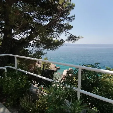 Mares - 20 M From The