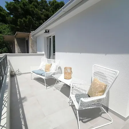 Mares - 20 M From The