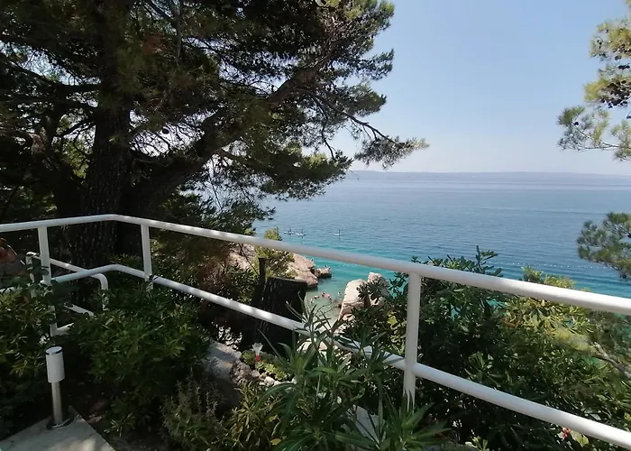 Mares - 20 M From The
