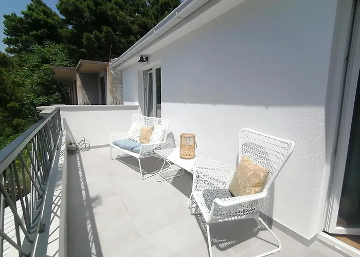 Mares - 20 M From The